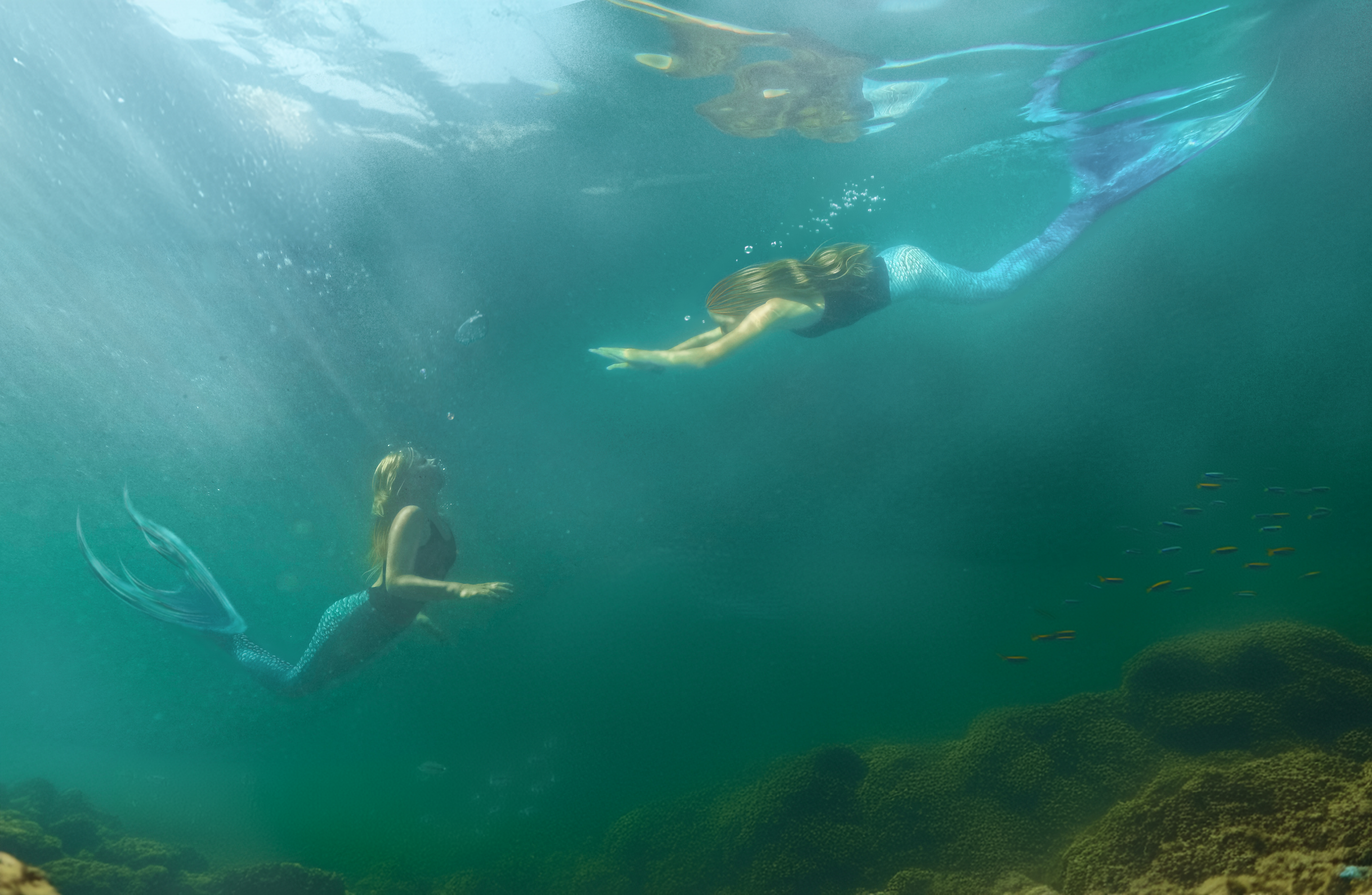 Mermaid 11