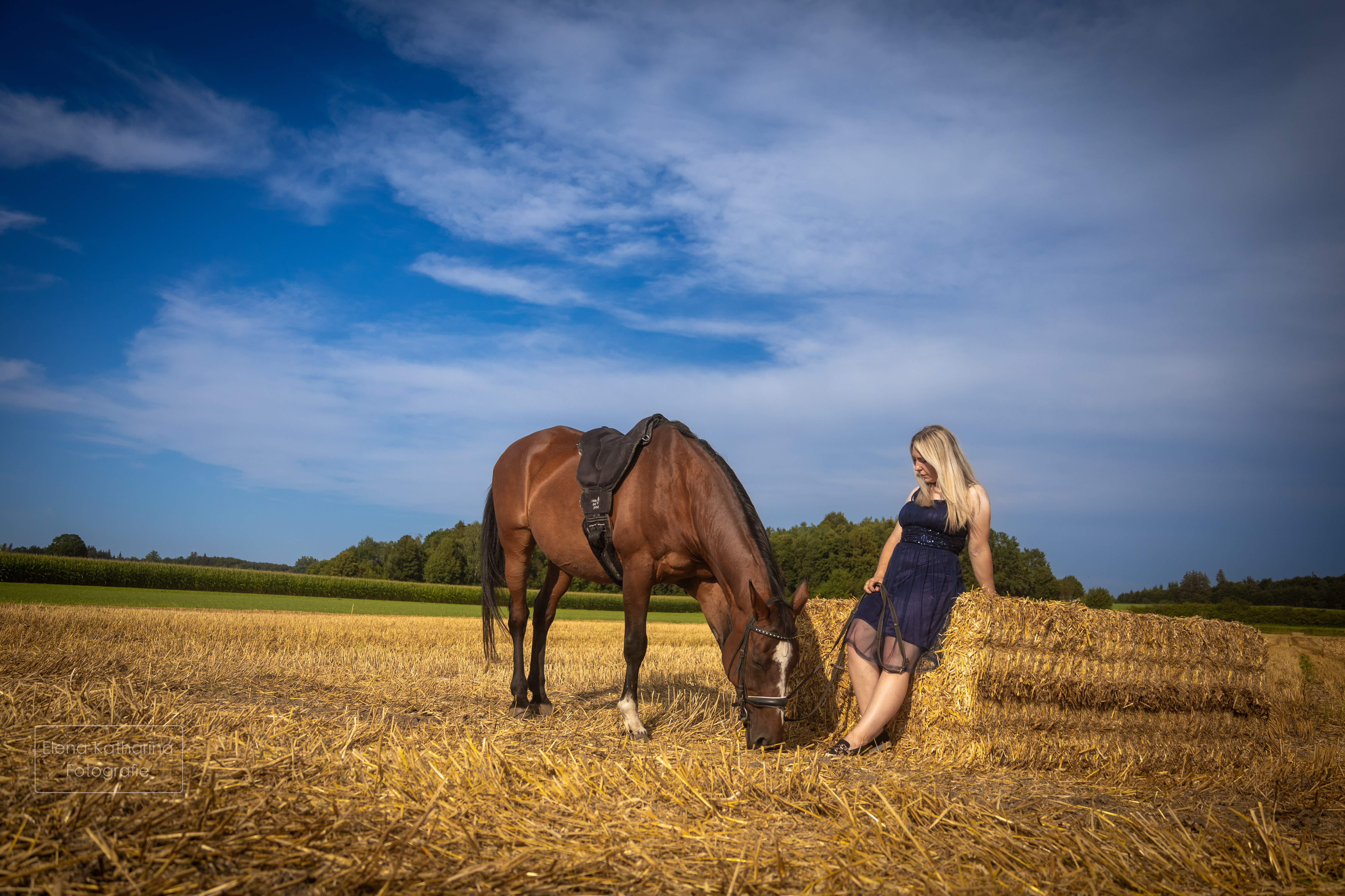 Pferd & Mensch Vorschau