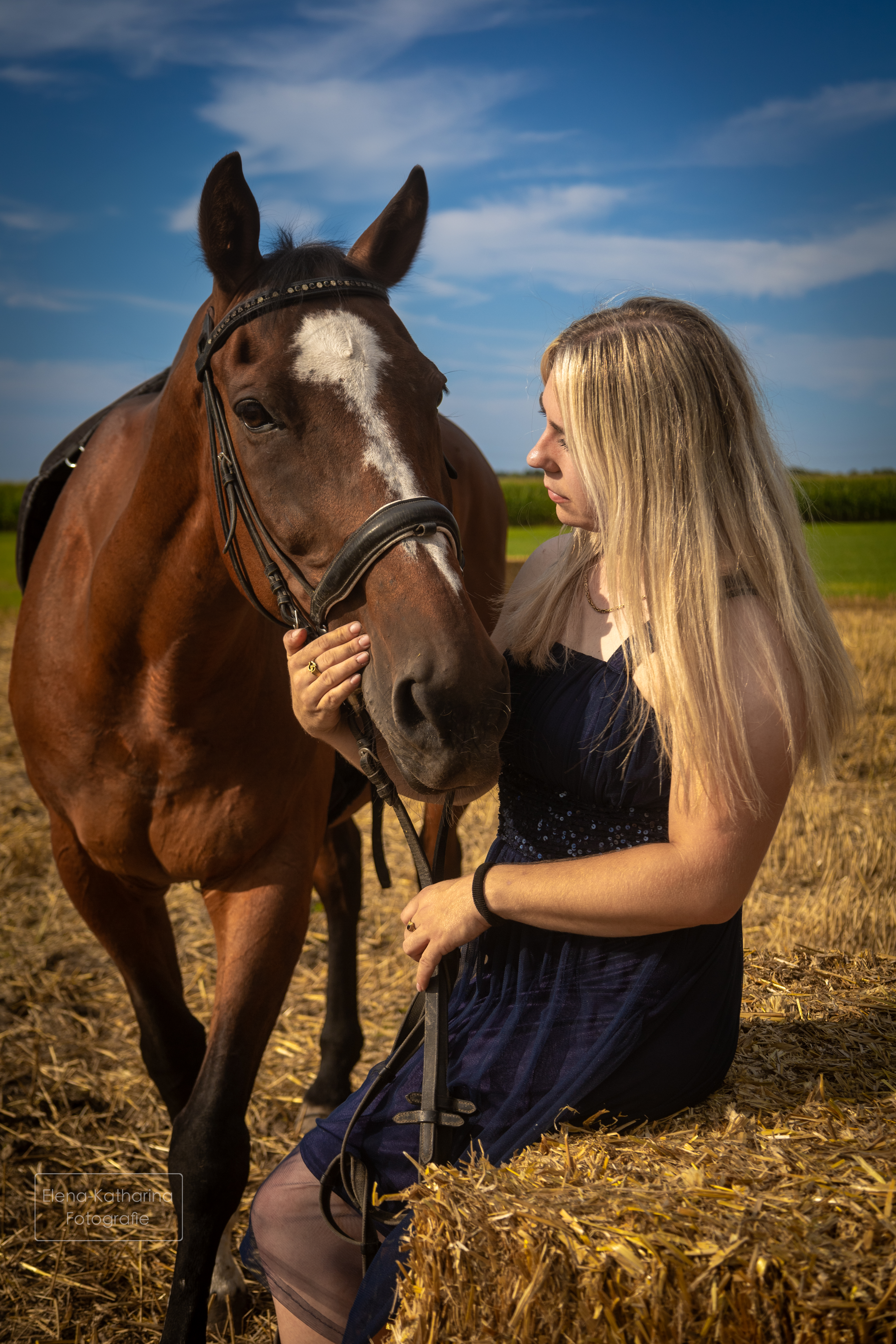 Pferd & Mensch 8