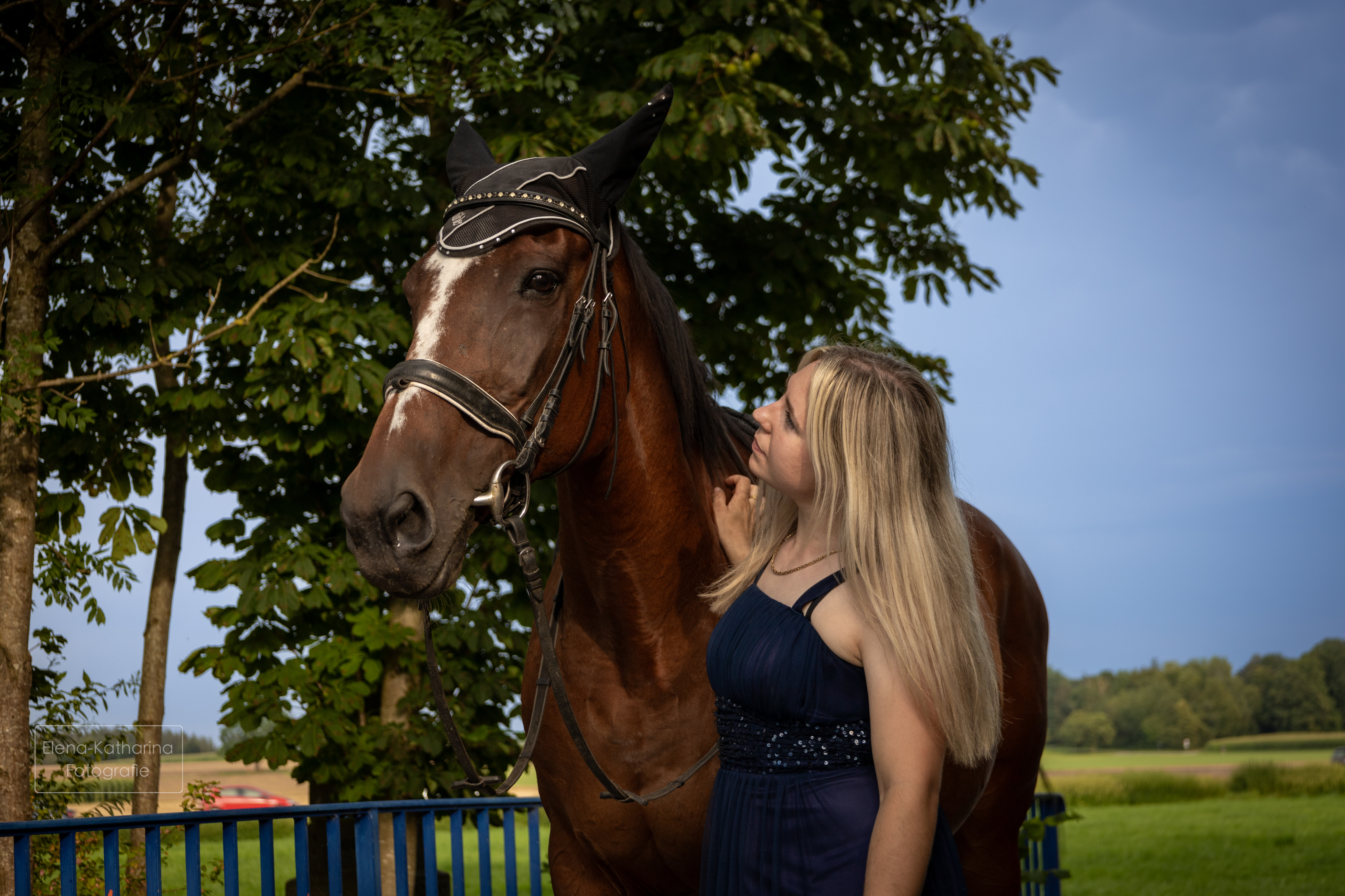 Pferd & Mensch 3
