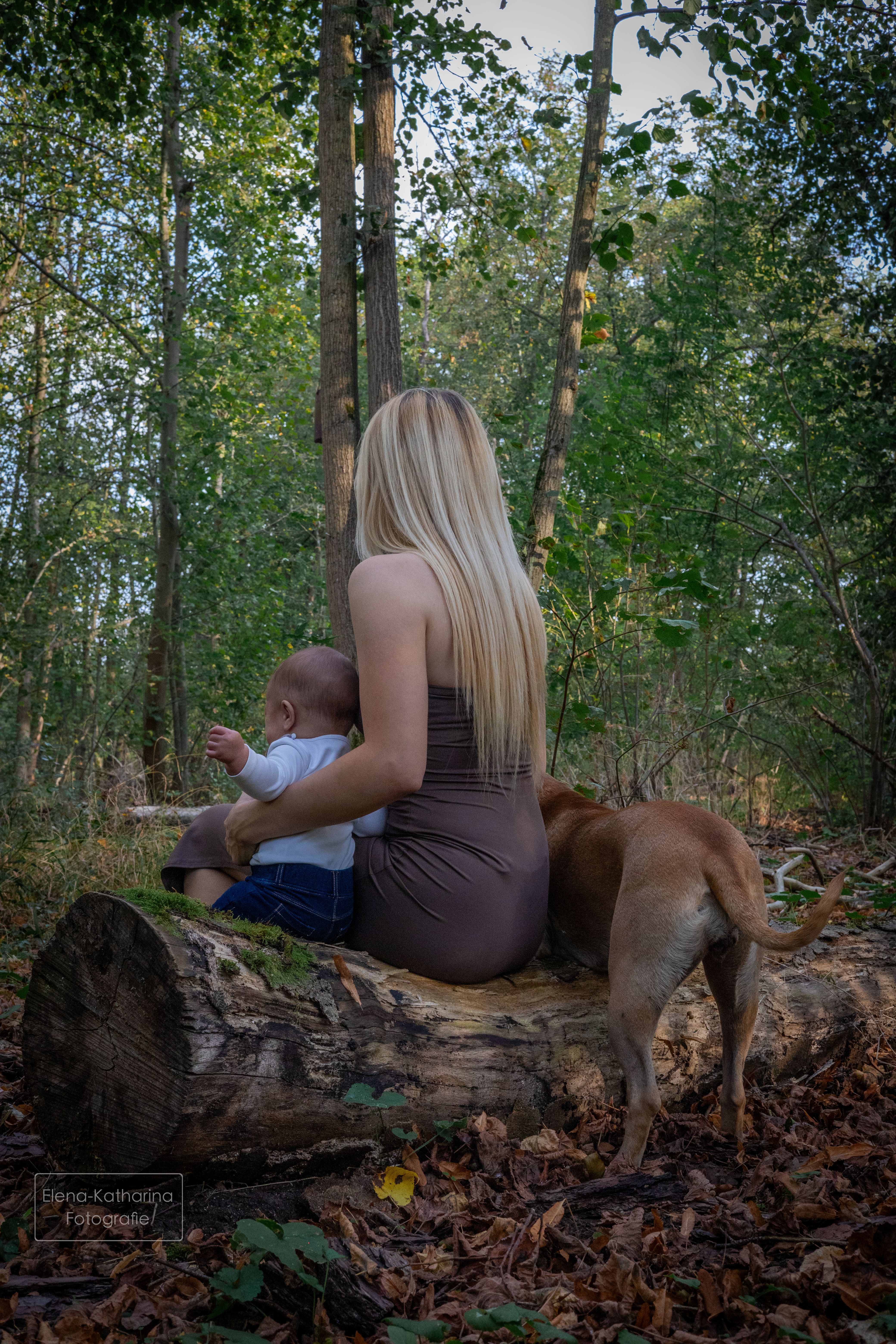 Familienzeit im Wald