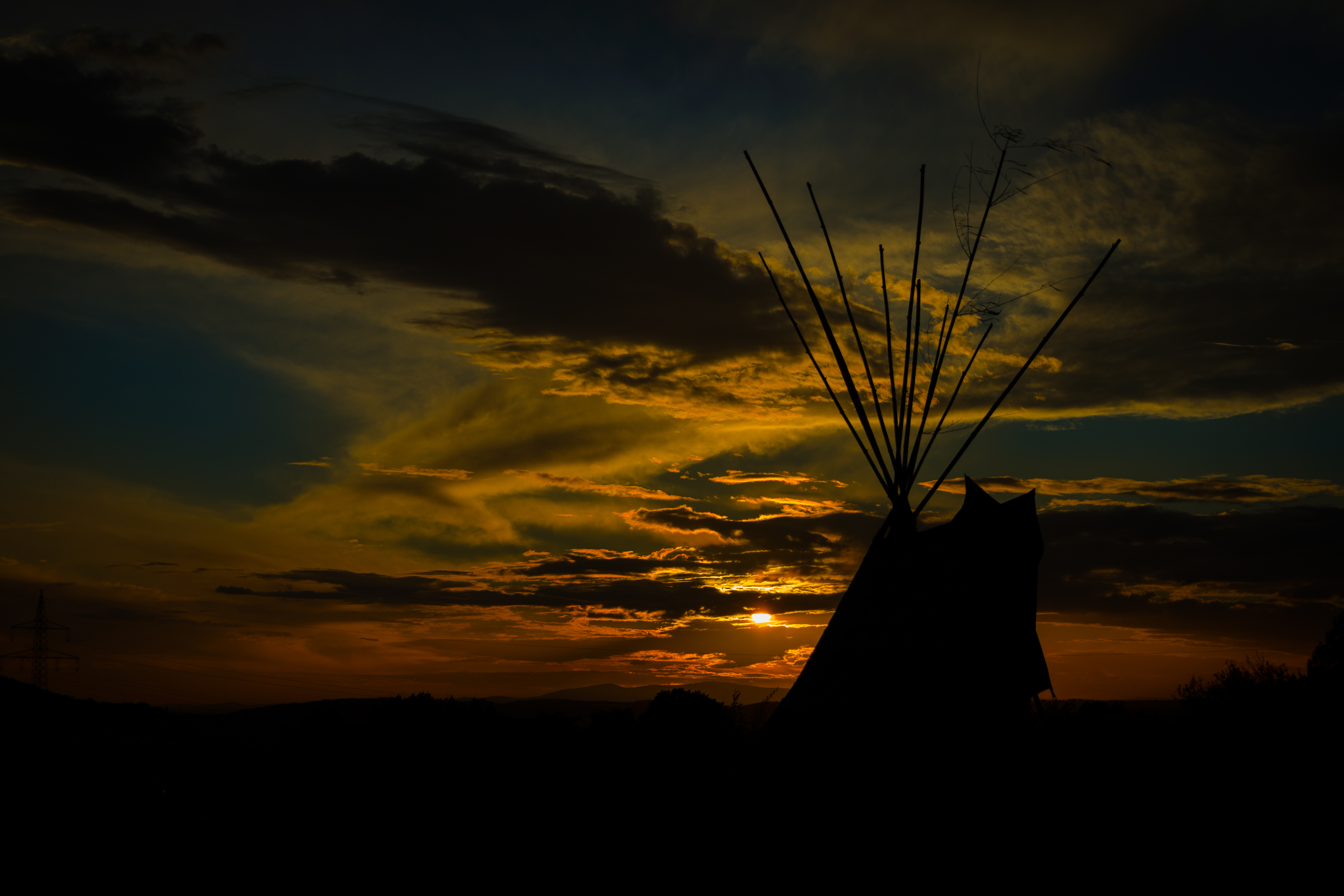 Tippi im Sonnenuntergang