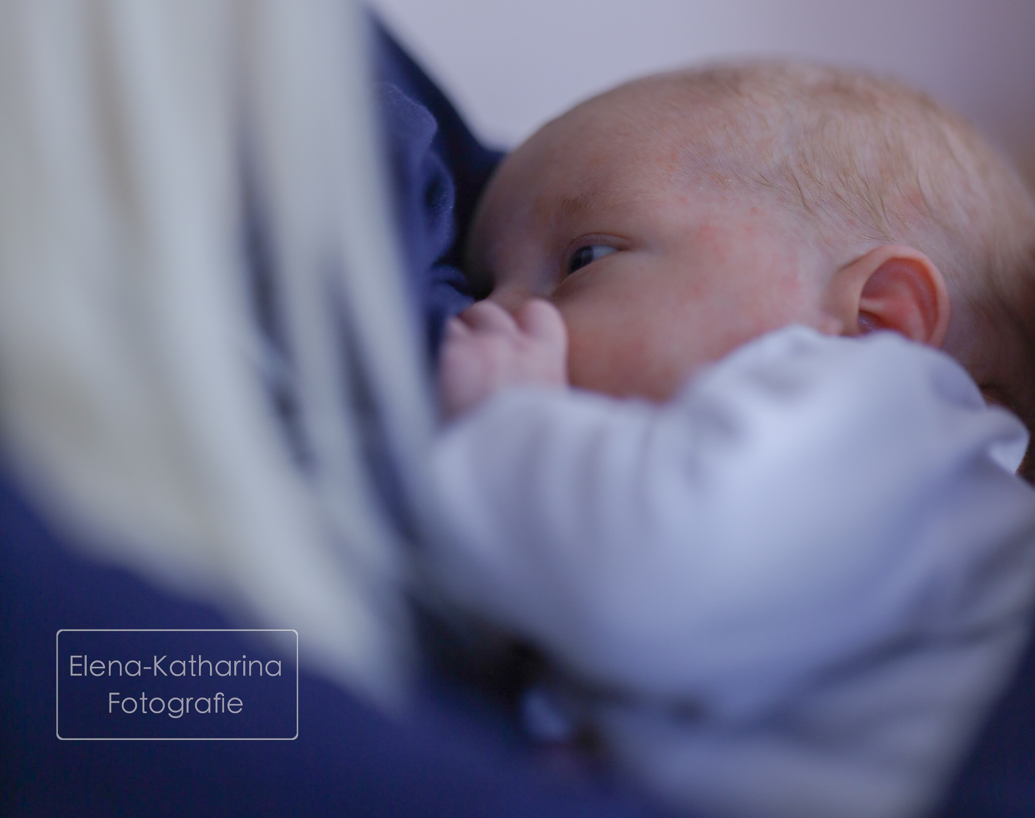 Babyfoto 2