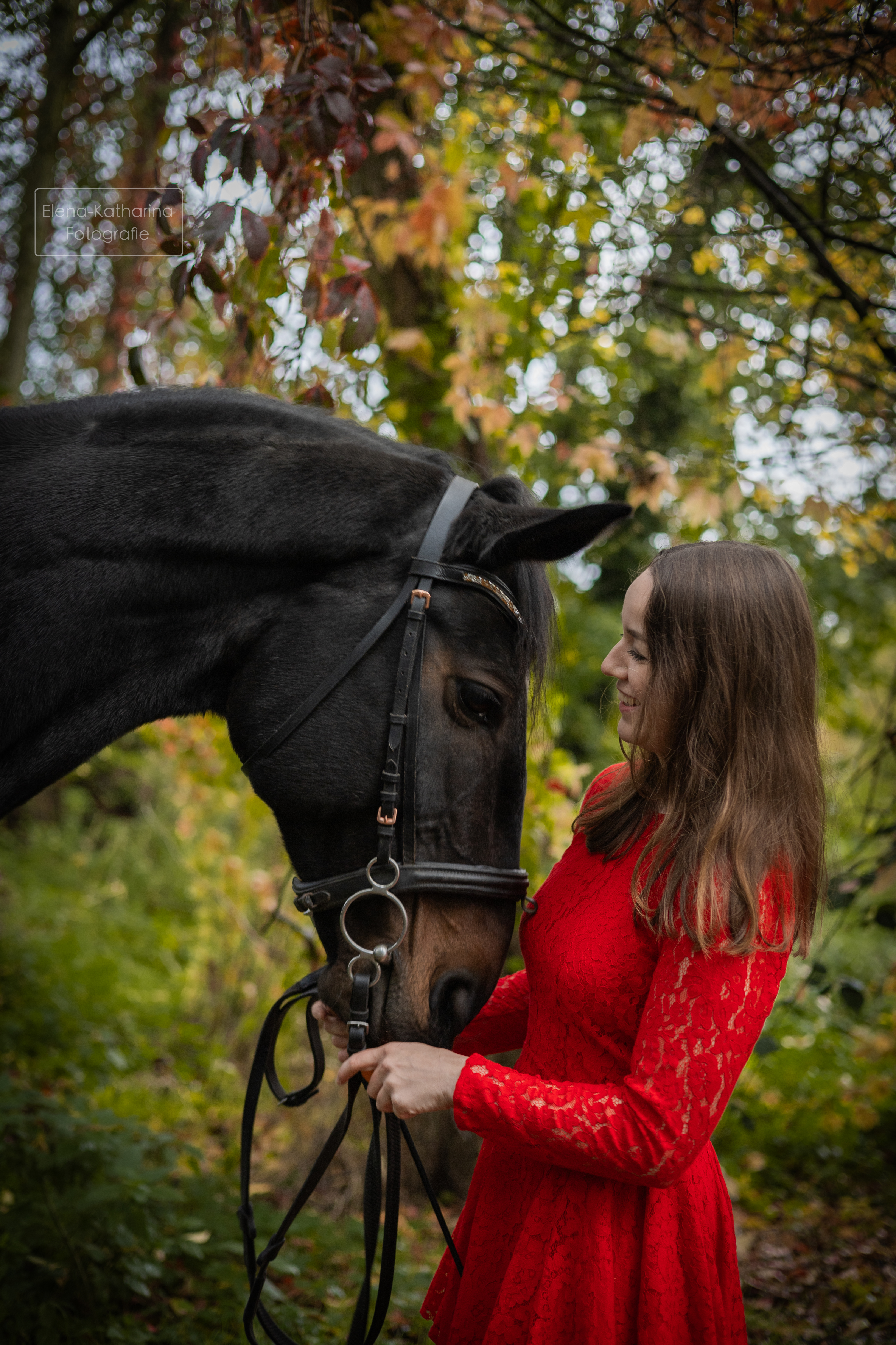 Pferd & Mensch 6