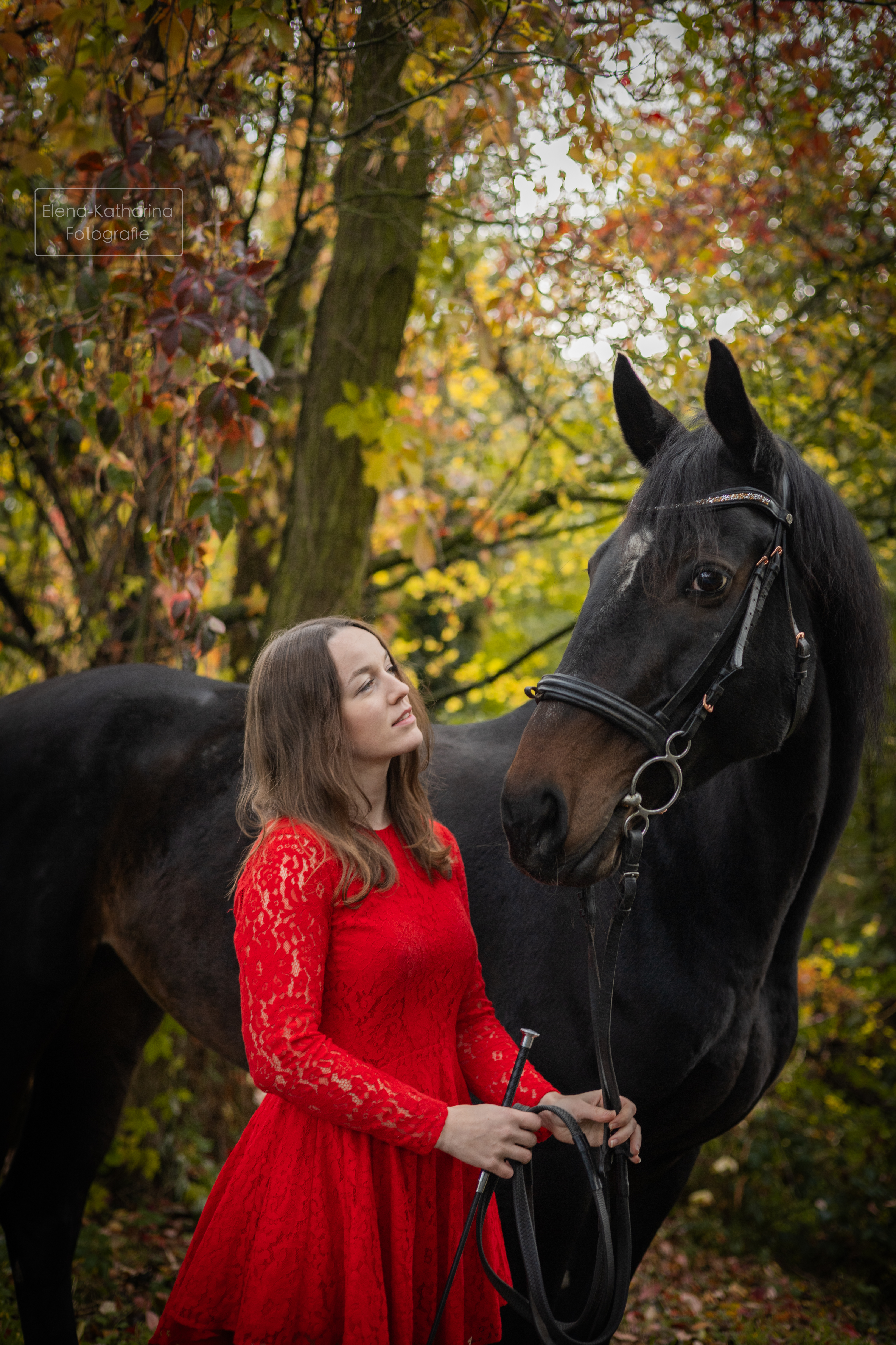 Pferd & Mensch 3