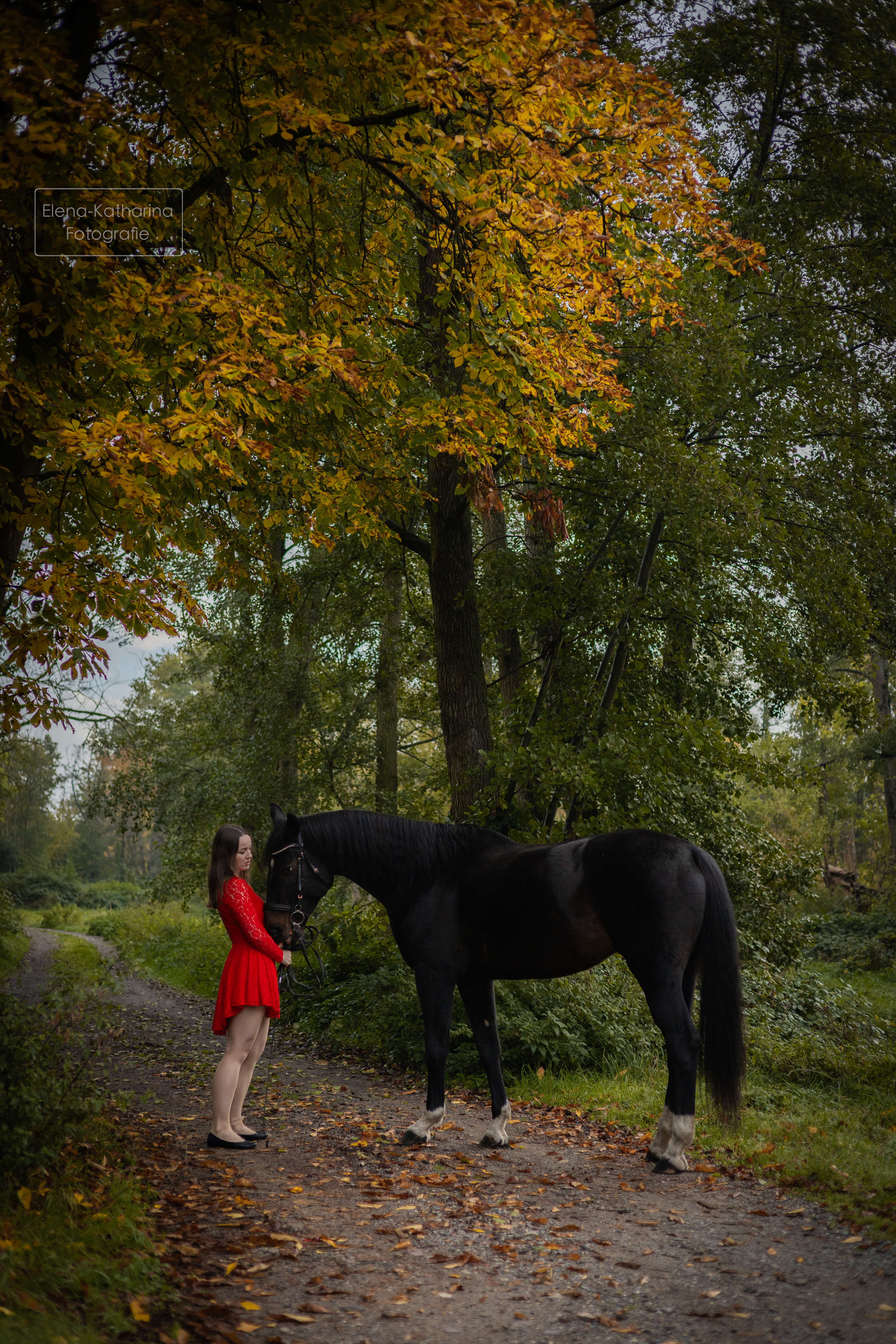 Pferd & Mensch 7