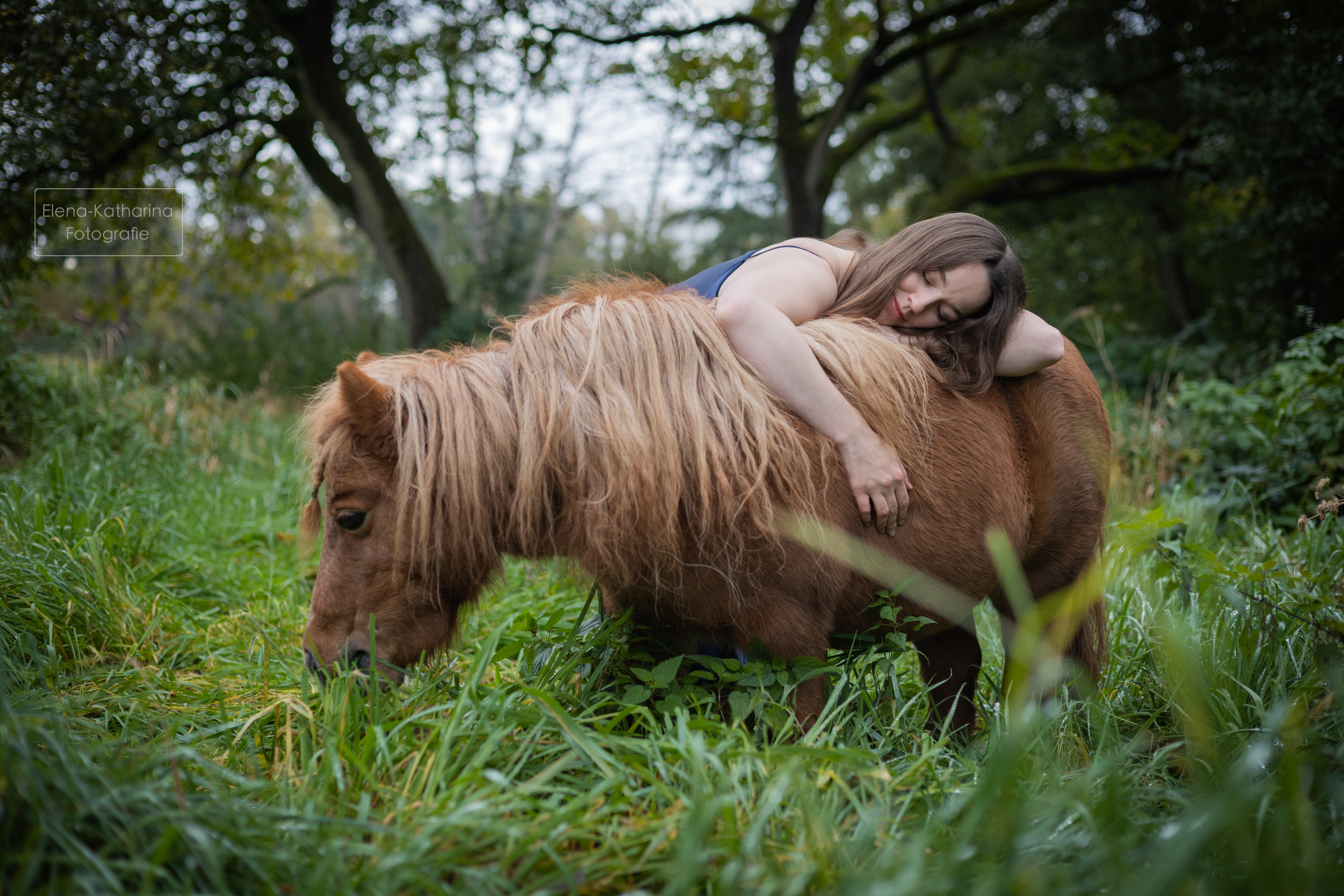 Pferd & Mensch 12