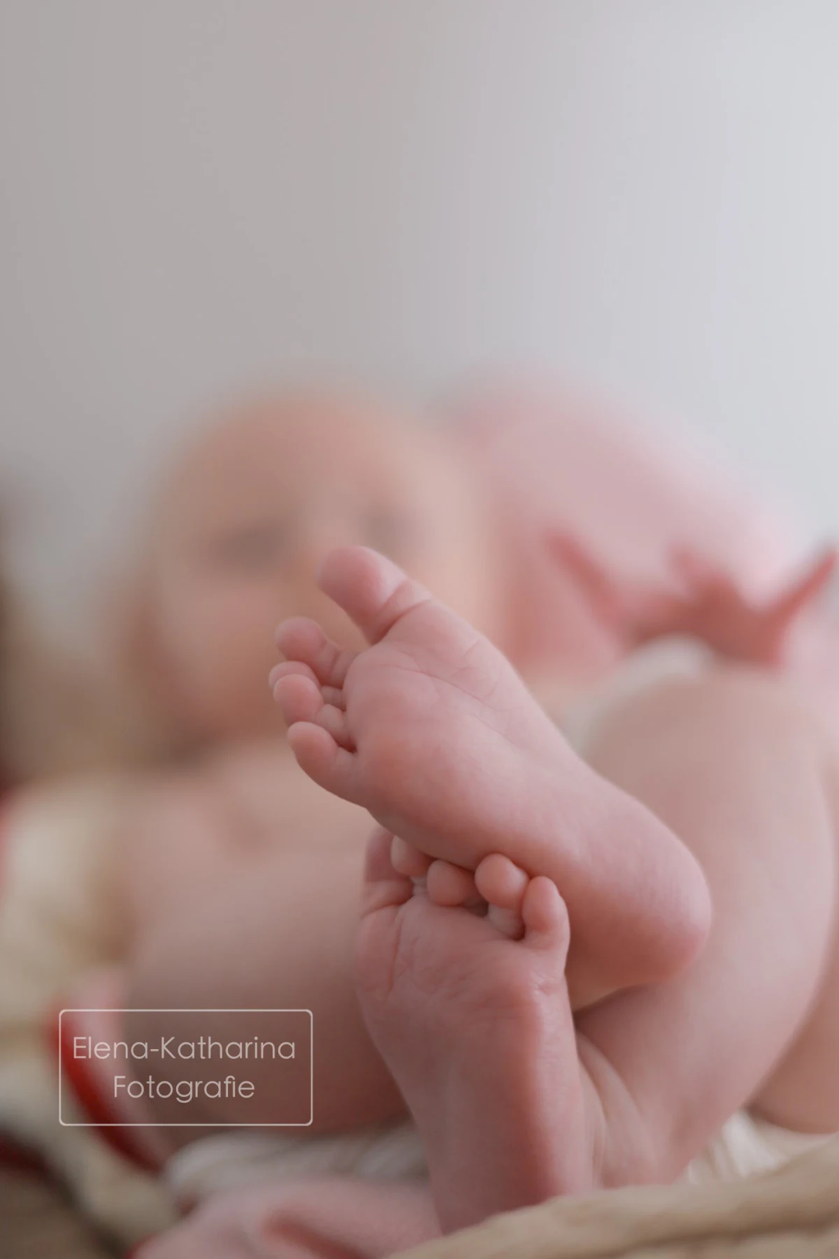 Detailreiche Newbornfotografie