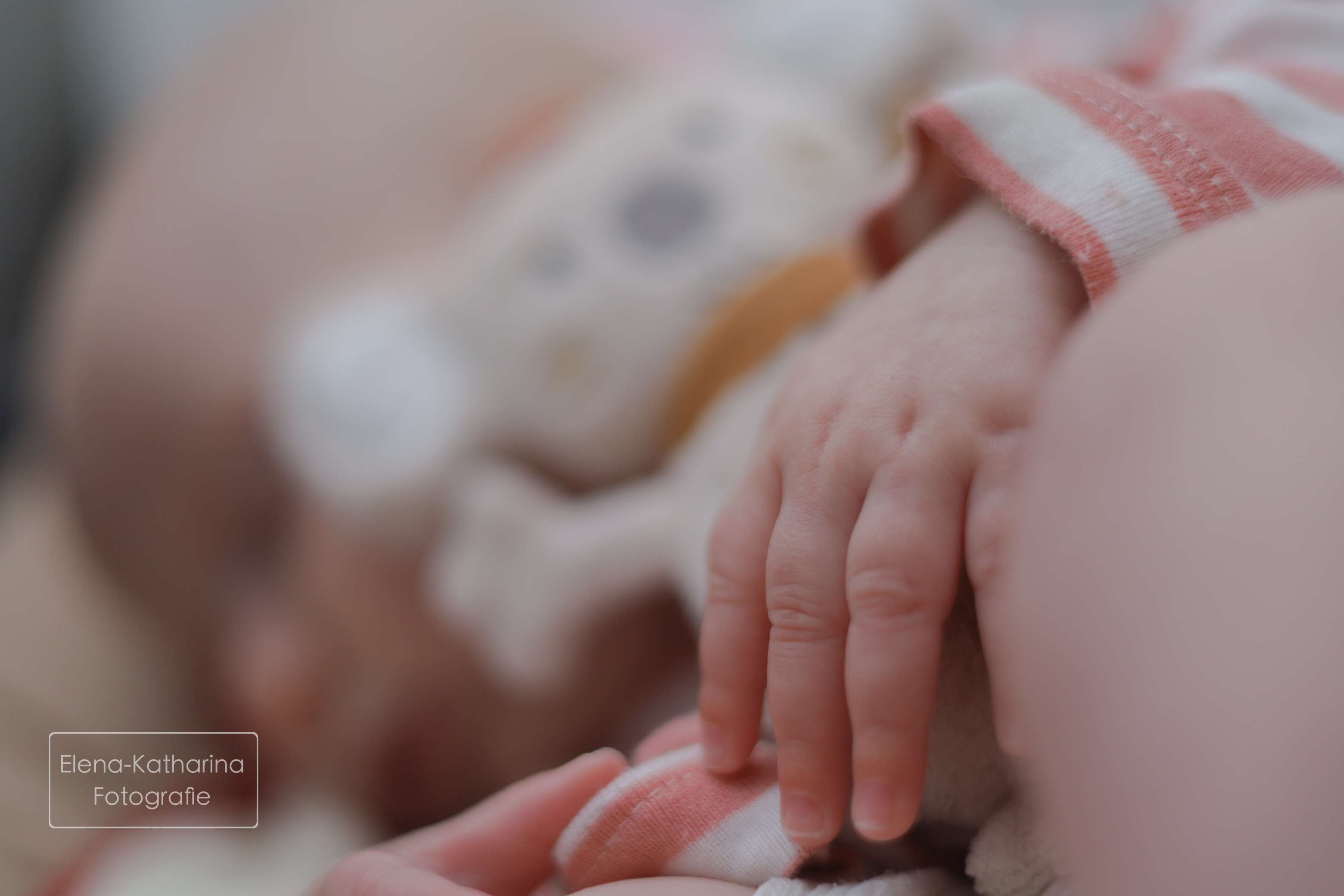 Sanftes Neugeborenenportrait