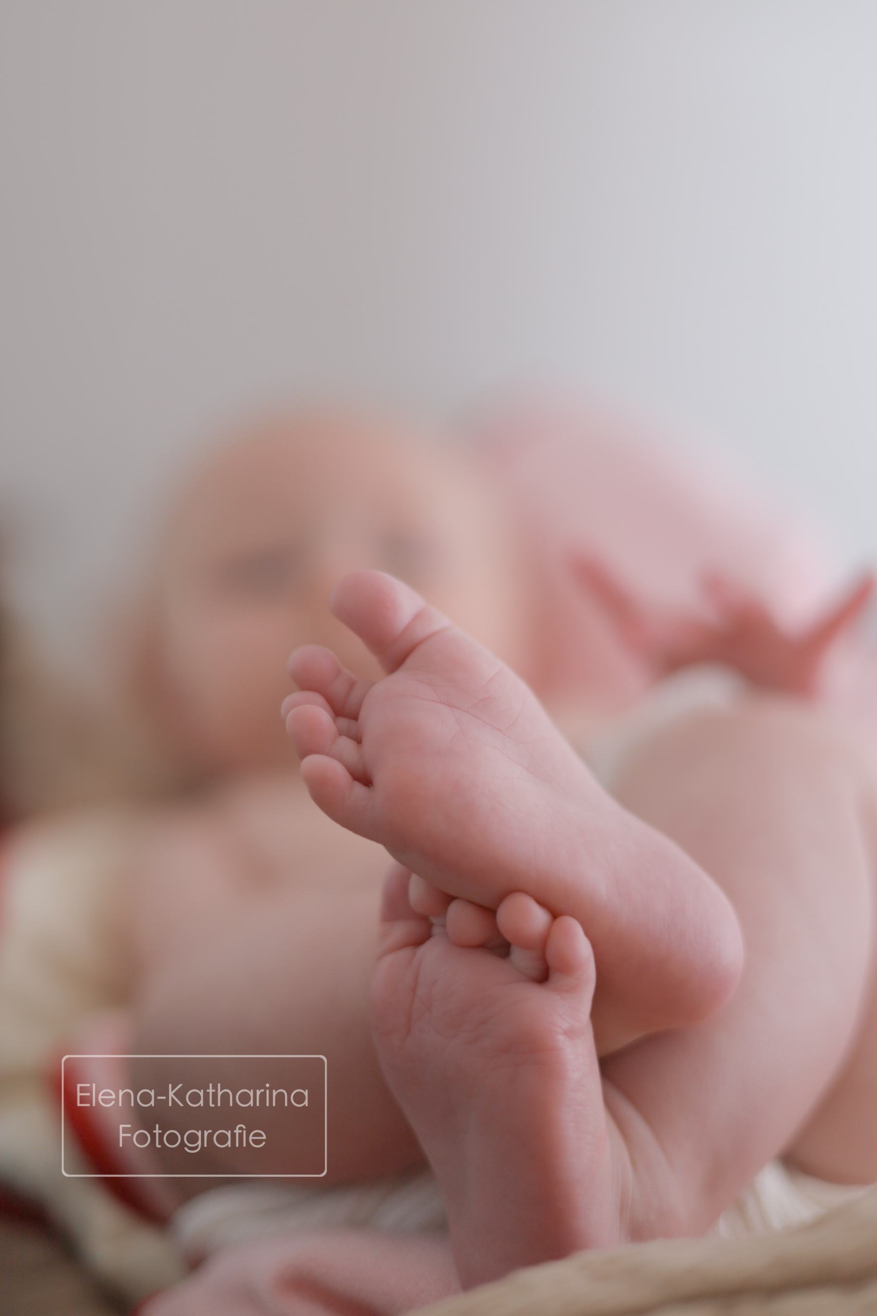 Detailreiche Newbornfotografie