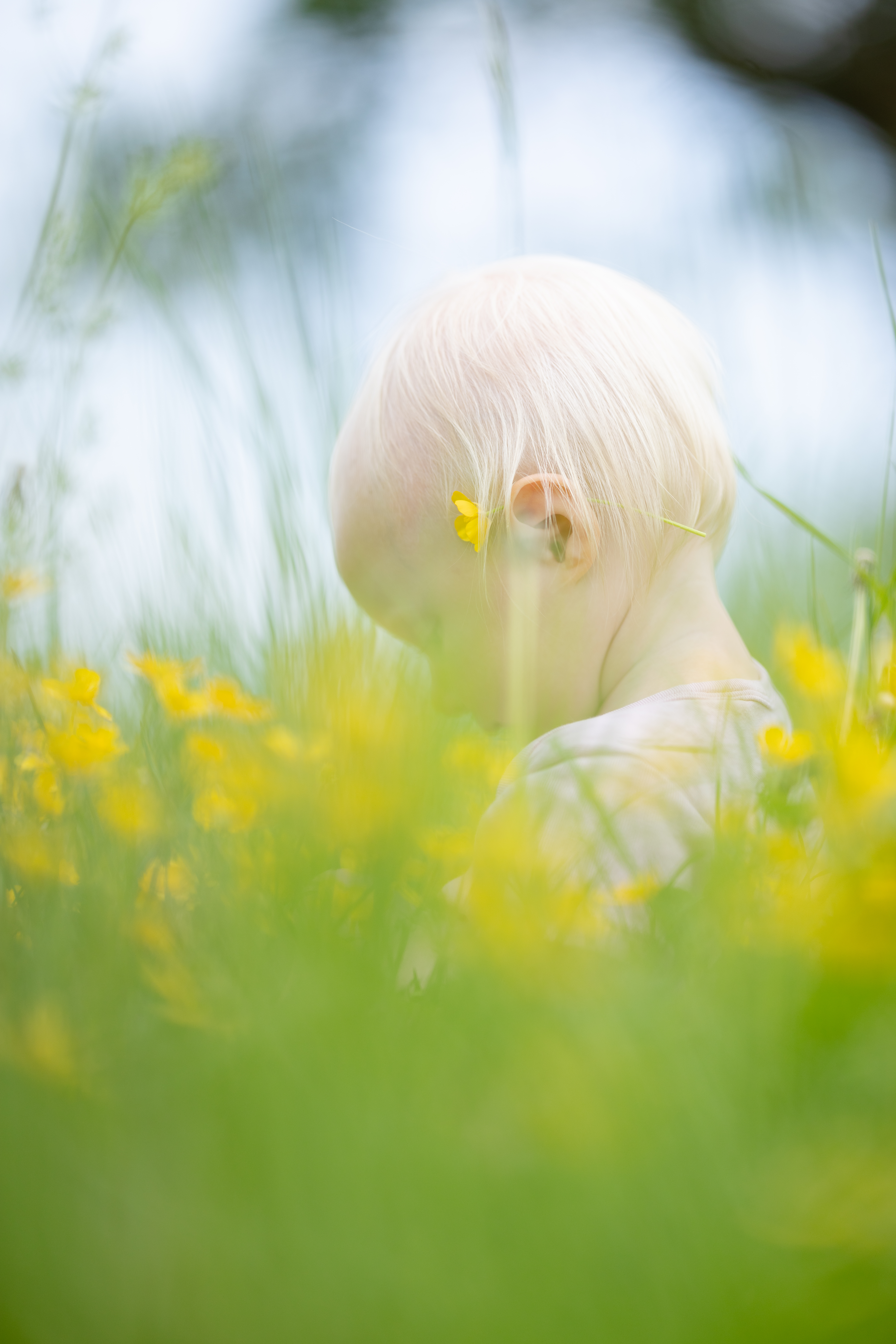 Kleines Mädchen umringt von Blumen