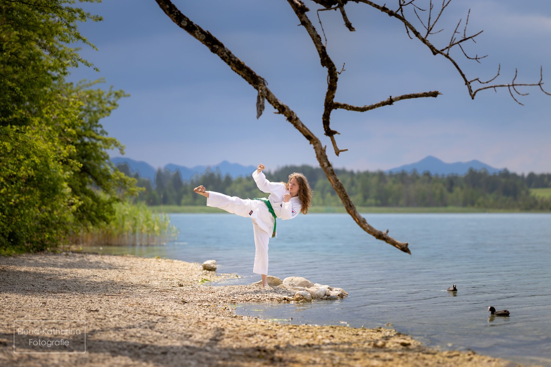 Ausdrucksstarkes Bewegungsbild am See