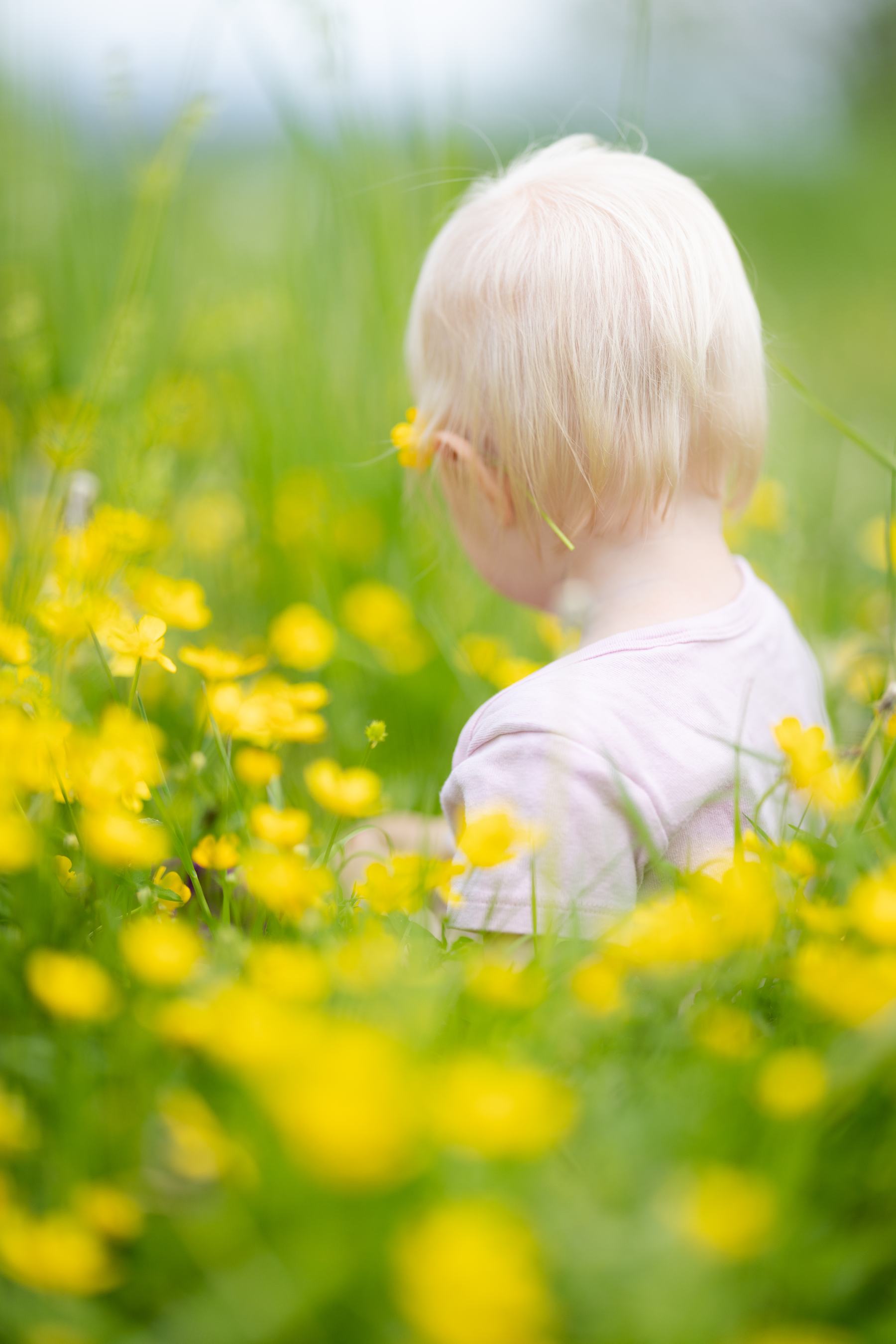 Kind in der Blumenwiese