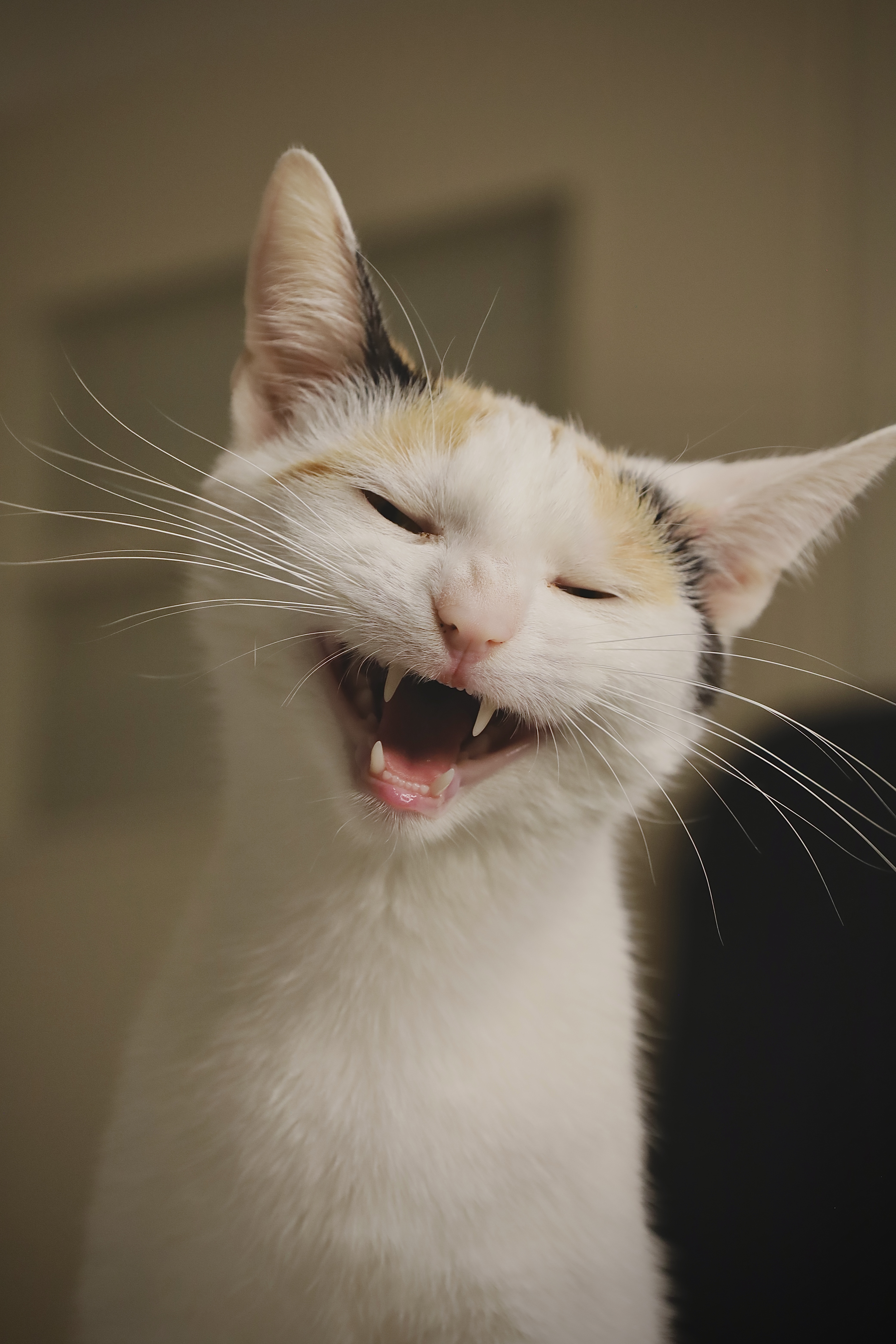 Sanfte Naturdetails mit ruhiger Stimmung