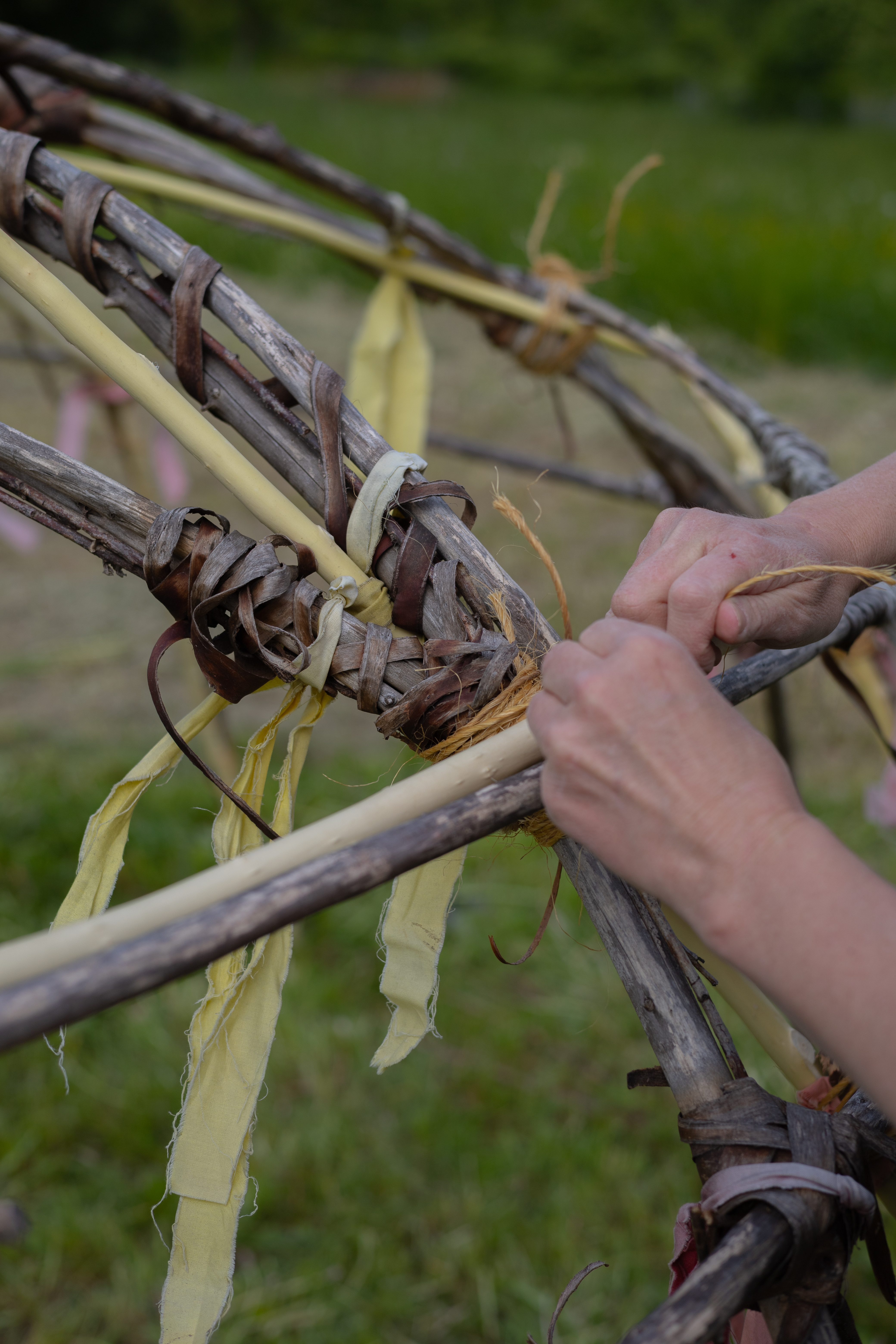 Naturaufnahme mit klarer Struktur und Linien