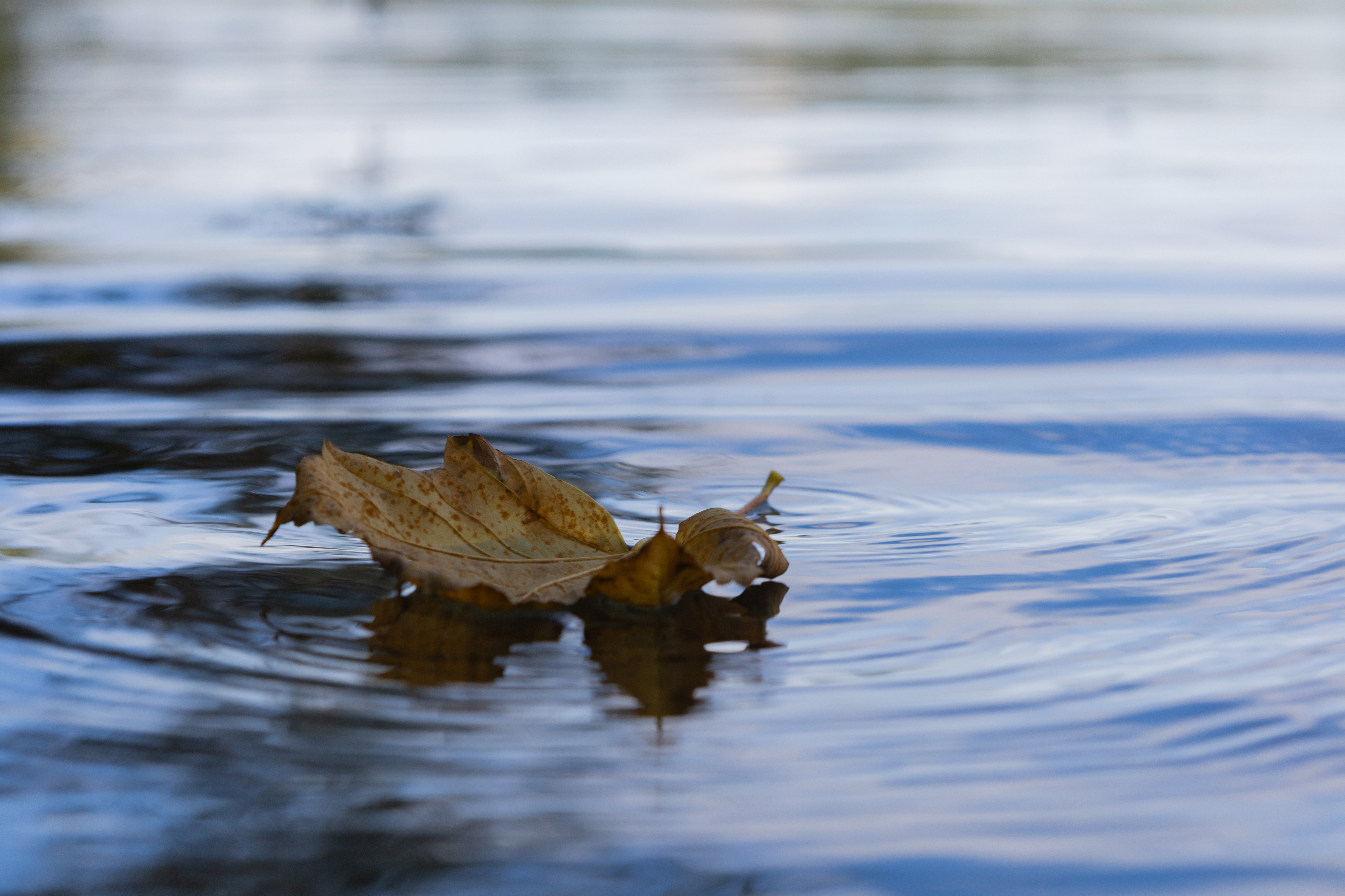 Weite Landschaft mit sanftem Horizont