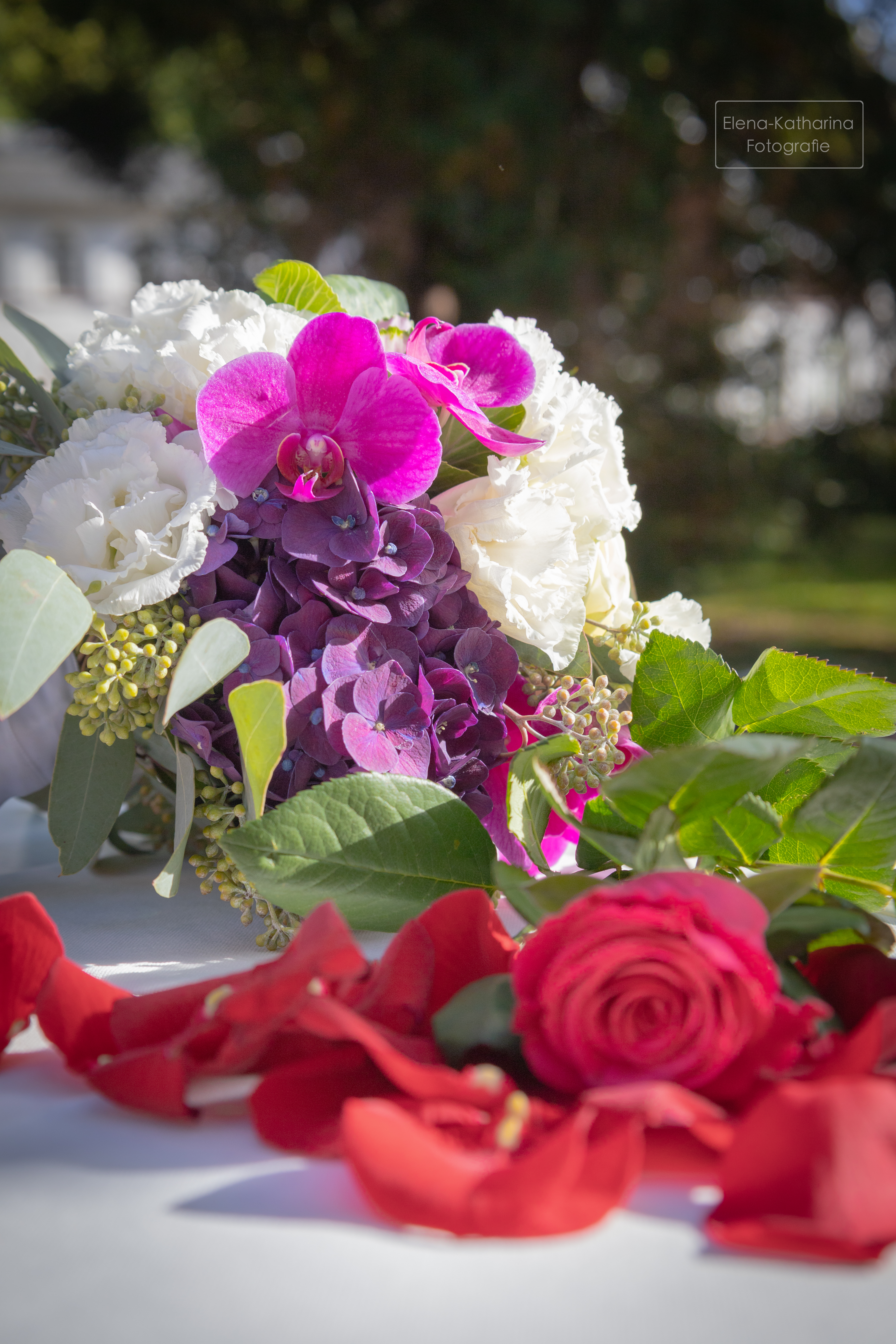 Natürliche Szene mit weicher Farbgebung