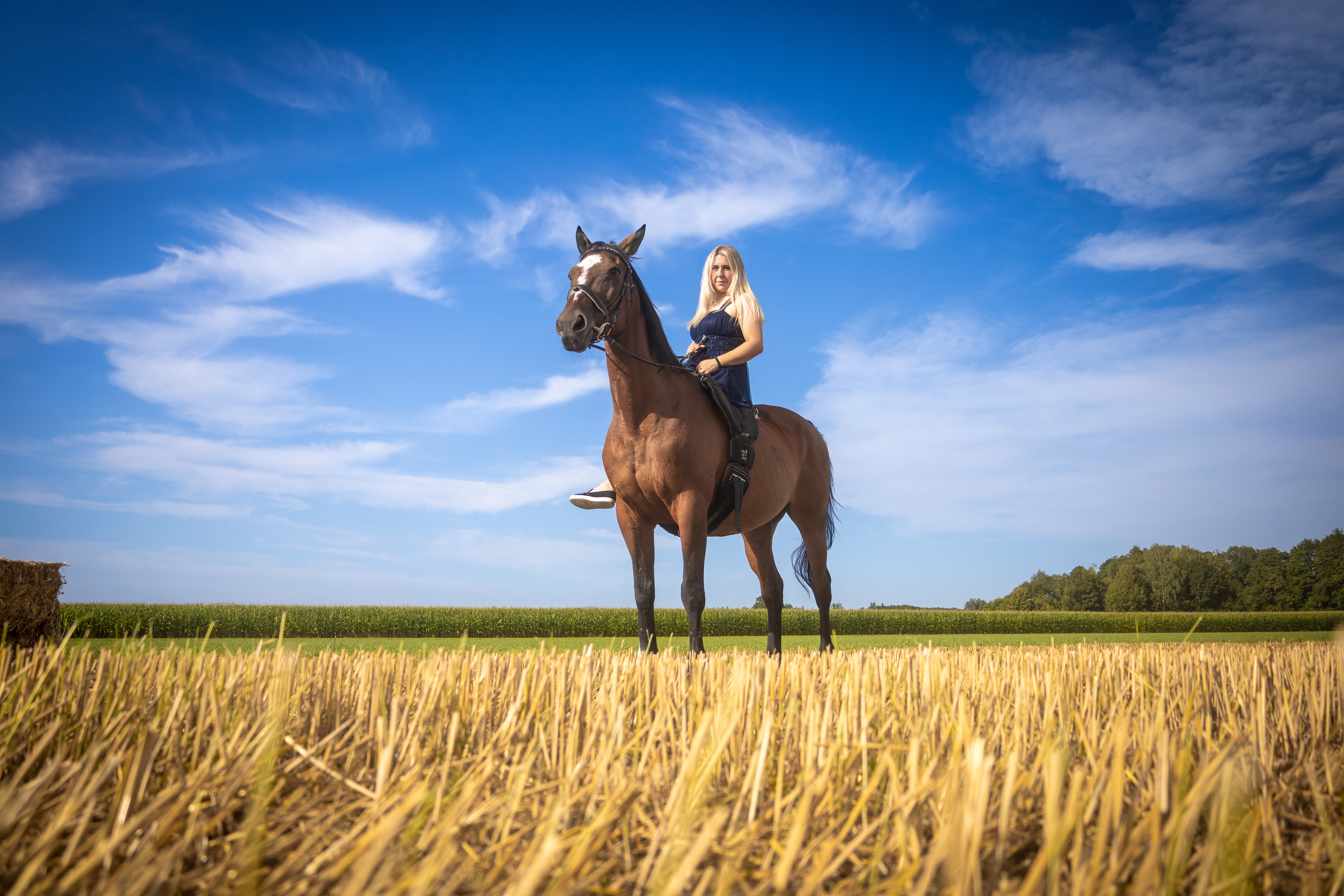 Mensch und Tier in weiter Landschaft mit warmem Licht