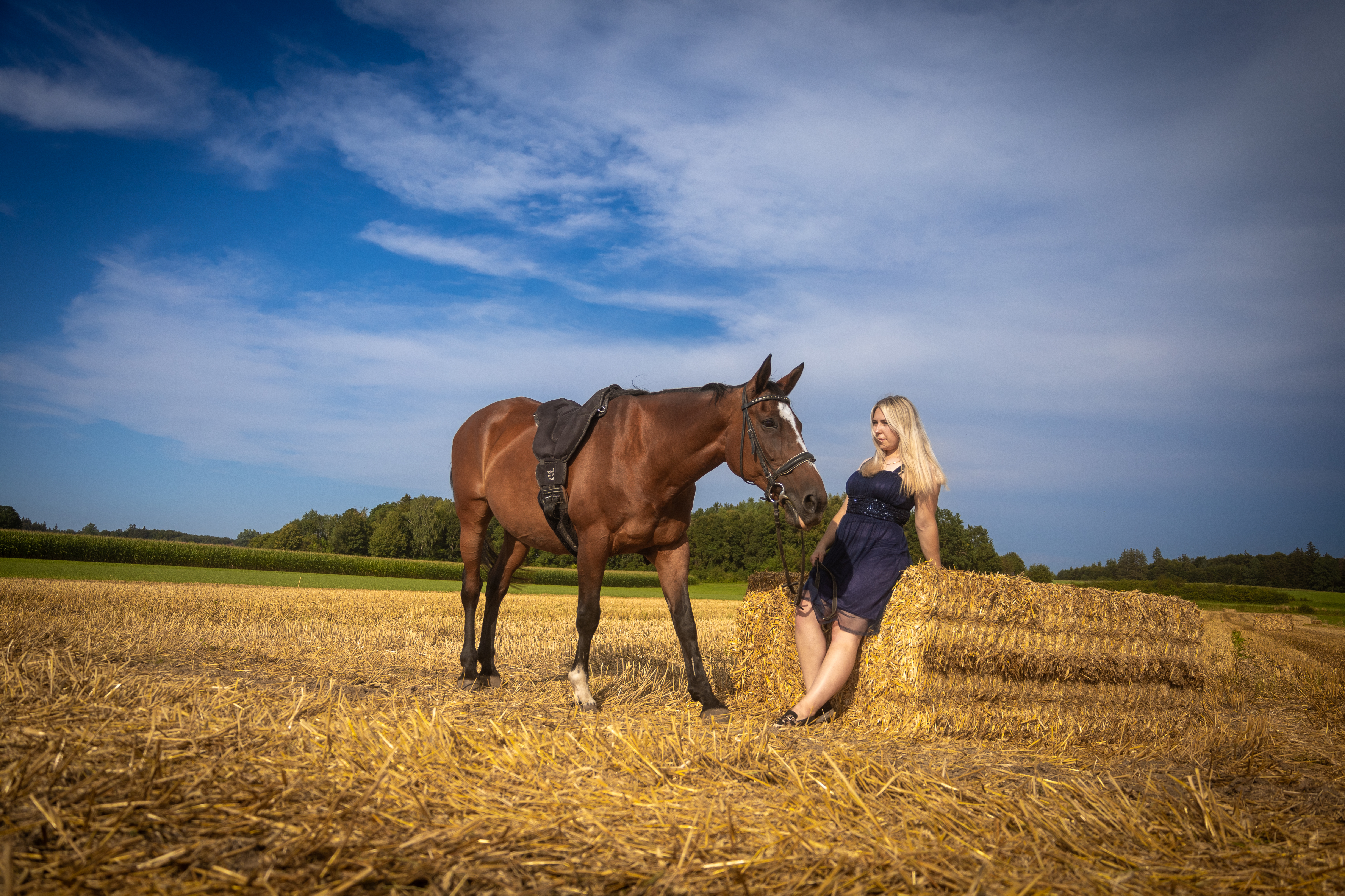 Dynamische Szene mit Tier in freier Bewegung