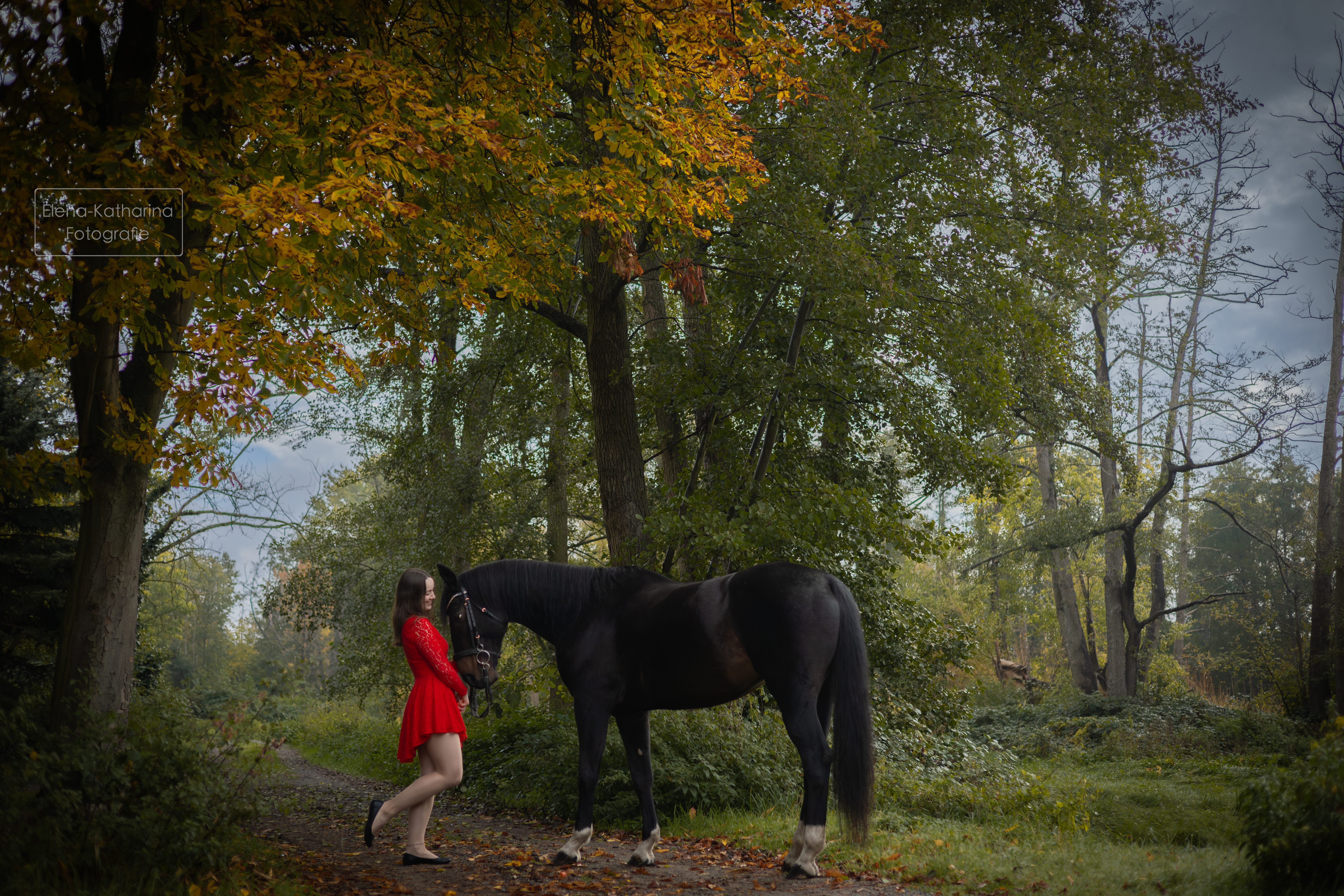 Atmosphärische Aufnahme mit weichem Licht und Tiefe