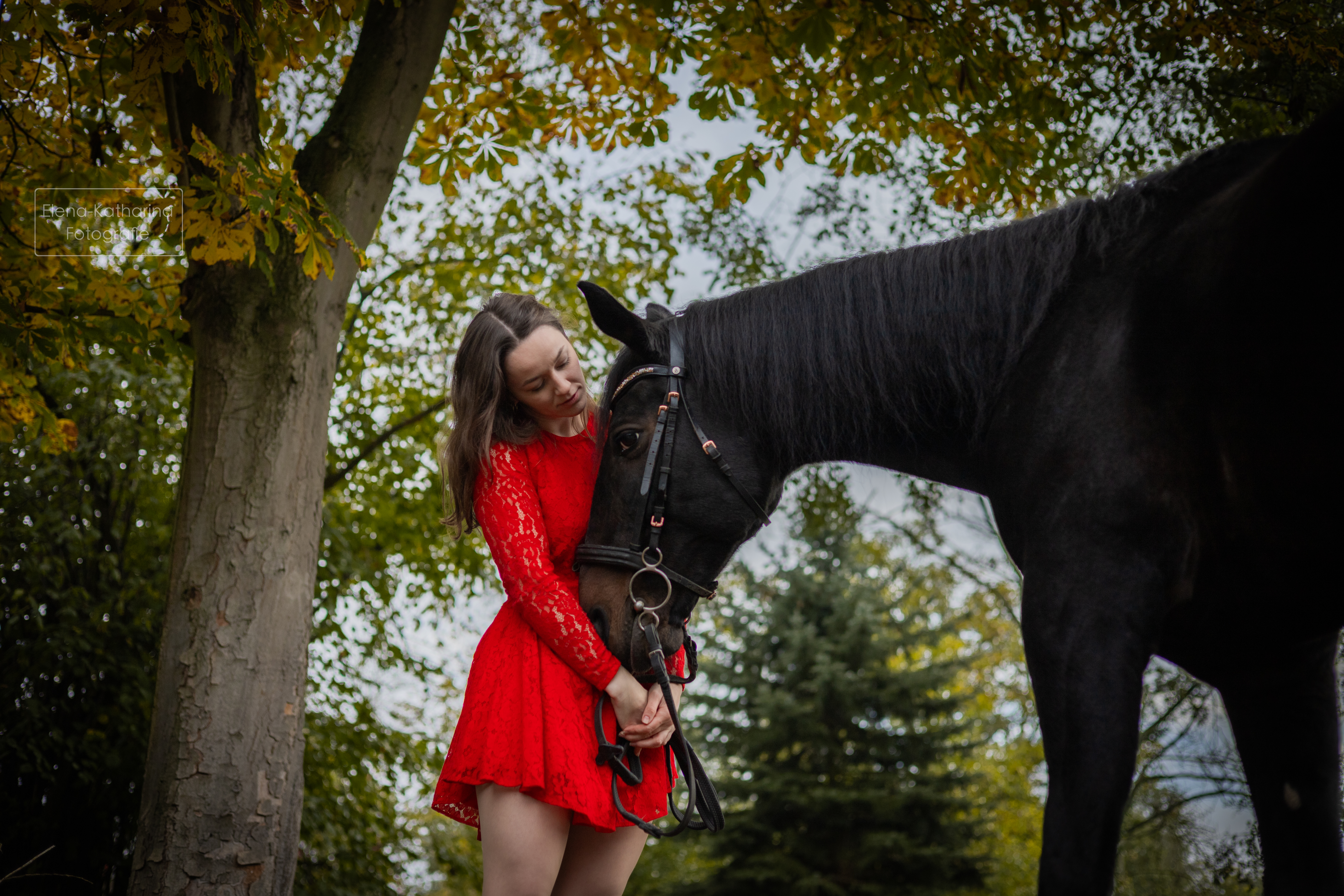 Ruhiger Moment zwischen Mensch und Tier in der Natur